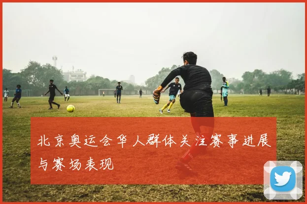 北京奥运会华人群体关注赛事进展与赛场表现