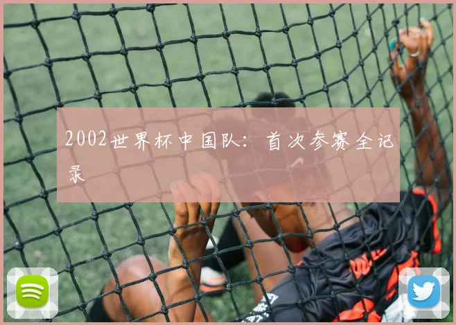 2002世界杯中国队：首次参赛全记录