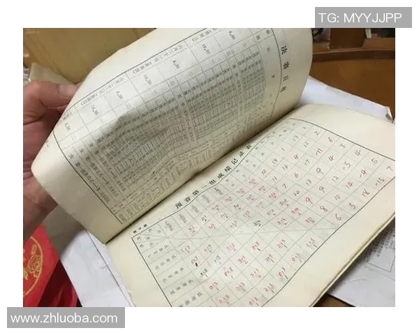 武汉排球队的节奏与魅力探秘：排球运动的热情与团结之道